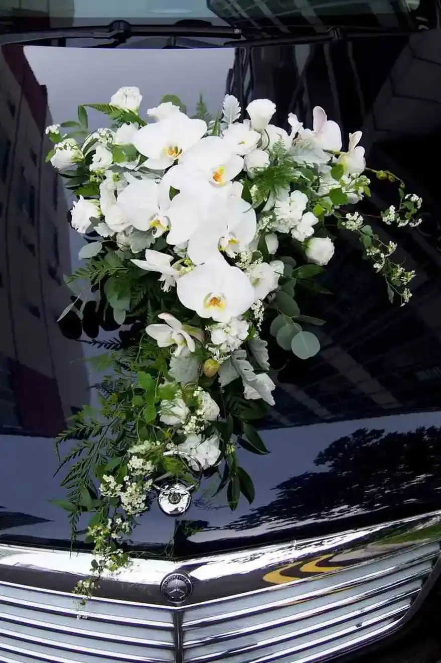 Car Decor