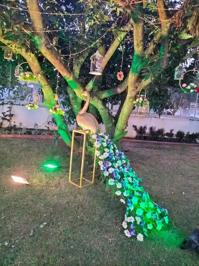 Garden Tree wrapped in fairy lights (Wedding)